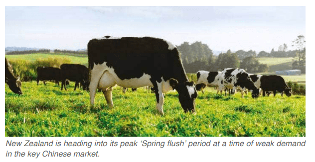 BUS211 International Logistics Final Examination: 2023