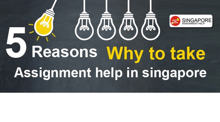 how assignment help companies help you