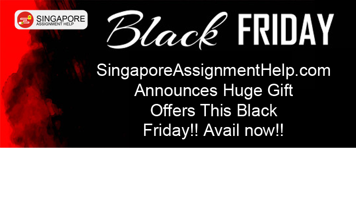 black friday assignment offer