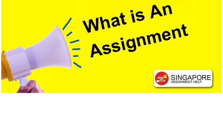 What is An Assignment