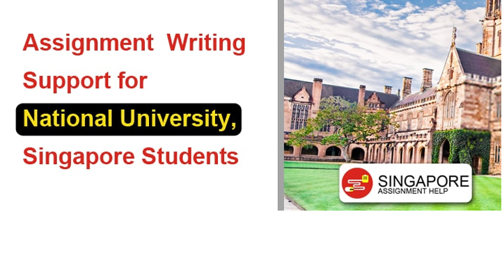 NSU assignment help