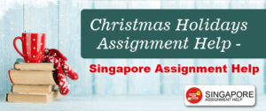 Get My Assignment Help Services Now & Enjoy Christmas 2019