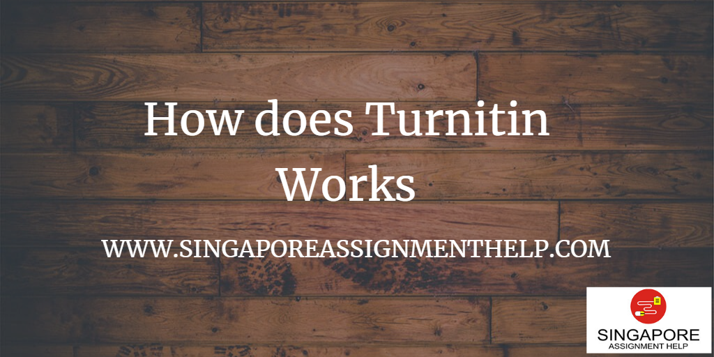 How Does Turnitin Works Assignment Help Singapore No 1 Essay How does turnitin works assignment help singapore no 1 essay