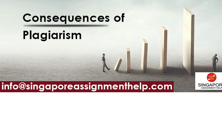 Consequences of Plagiarism