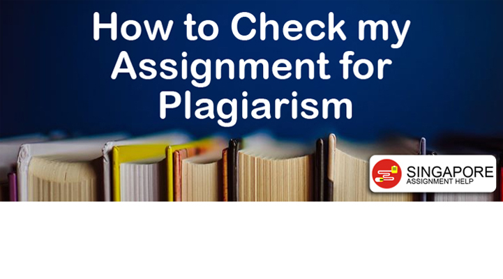 how to check my assignment for plagiarism