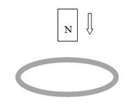 field theory fig 6