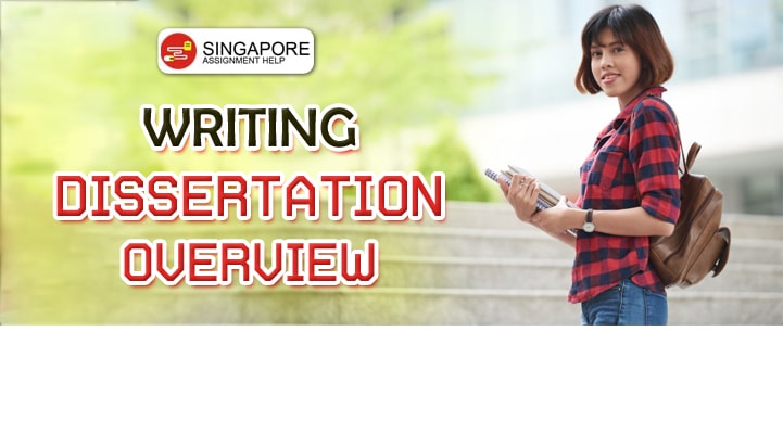 Writing Dissertation Overview