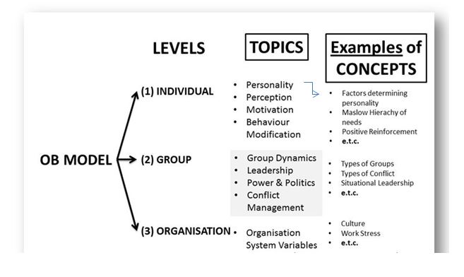 TOPIC vs CONCEPT (USING THE OB MODEL)