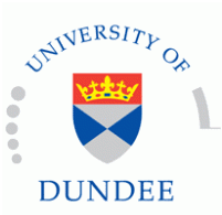 university of dundee