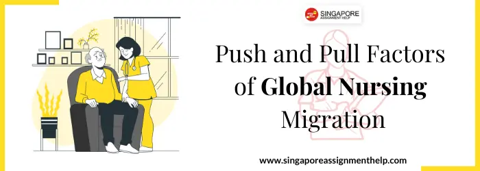 Push and Pull Factors of Global Nursing Migration Sample Essay