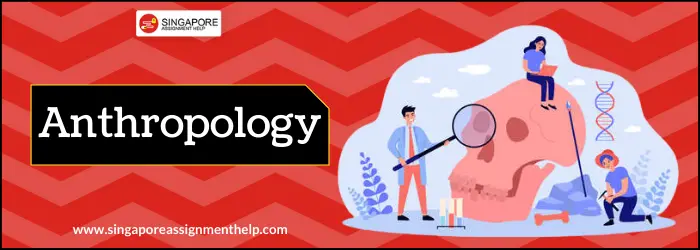 Anthropology Essay