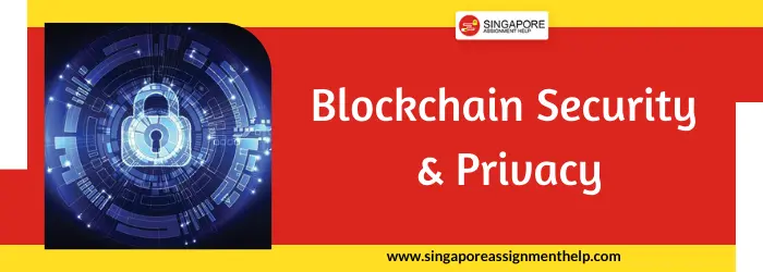 Blockchain Security and Privacy FIN 553 Sample Assignment SUSS, Singapore