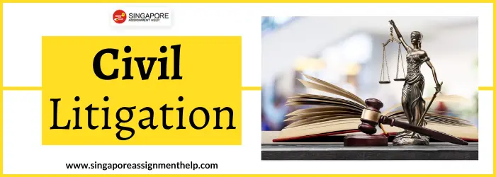 Civil Litigation Essay