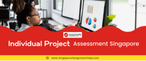 Individual Project Assessment Singapore