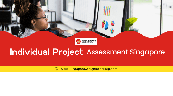 Individual Project Assessment Singapore
