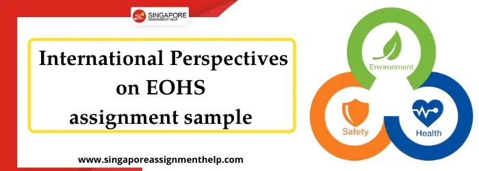 OHSE 3710 International Perspectives on EOHS assignment sample UON Singapore