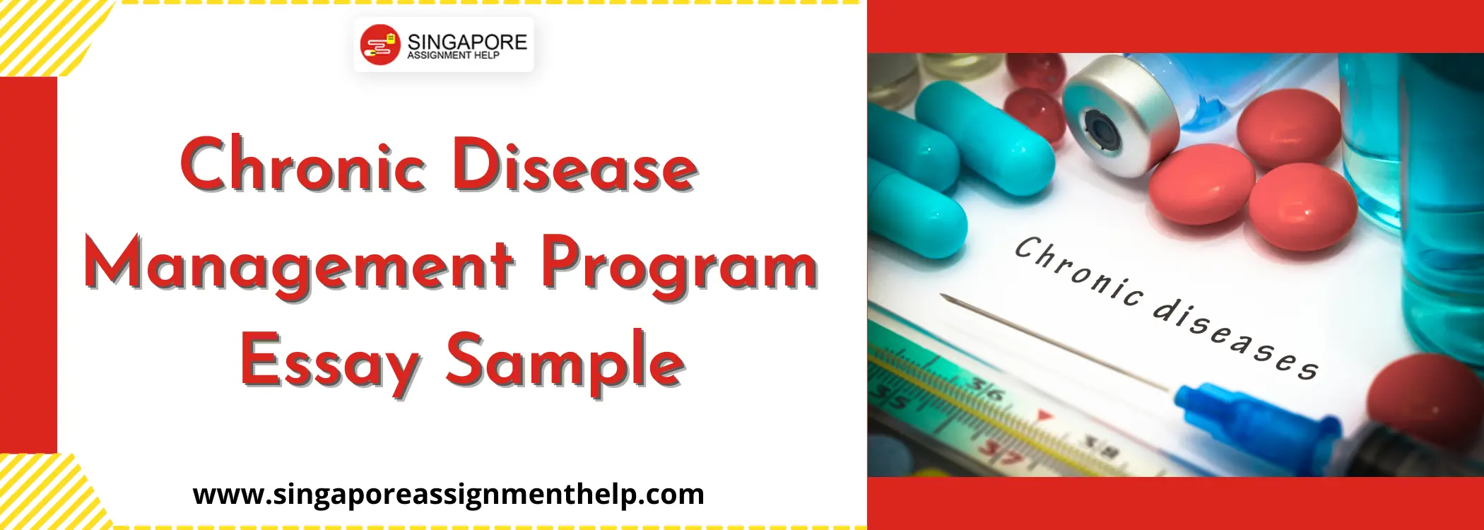 Chronic Disease Management Program (CDMP) in Singapore Essay Sample