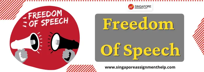 Freedom Of Speech In Singapore Essay Sample