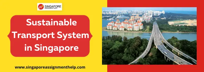 Sustainable Transport System in Singapore Essay Sample