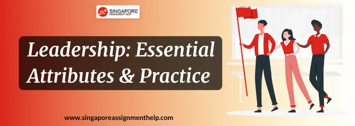 LEA1011 Leadership: Essential Attributes & Practice 1 Assignment Sample Singapore