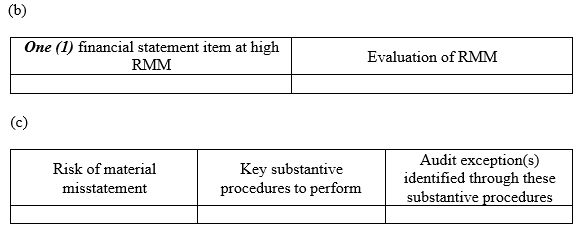 ACC306: Advanced Assurance and Attestation 