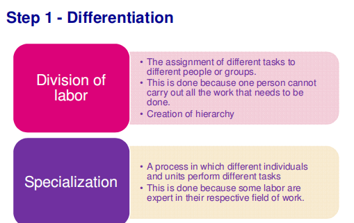 ITM Bridging Topic 04 - Organising