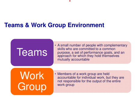 ITM Bridging Topic 10 - Managing Teams: Introduction To Management, Assignment, KU