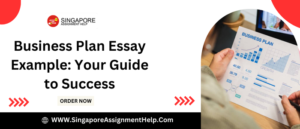 Business Plan Essay