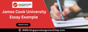 James Cook University Essay