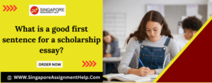 Write first sentence for scholarship essay