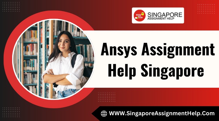 Ansys Assignment Help for Singaporean Students