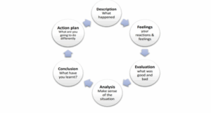 HS2255 Gibbs' Reflective Cycle